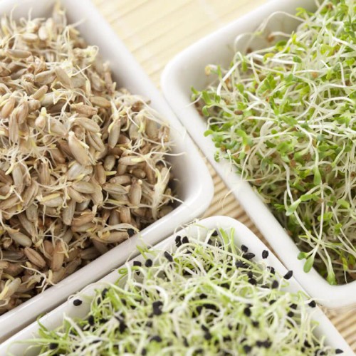 Nasiona na kiełki mieszanka regenerująca nasiona 20g