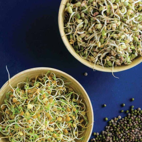 Nasiona na kiełki mieszanka Zdrowy Duet nasiona 20g