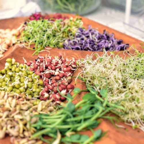 Nasiona na kiełki mieszanka wzmacniająca organizm nasiona 30g