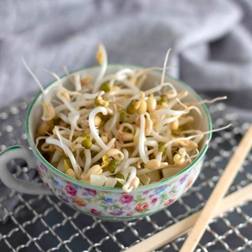 Nasiona na kiełki - Fasola Mung 250g opakowanie XXL