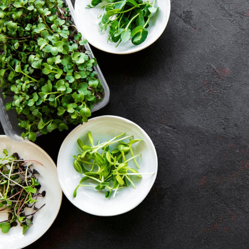 Nasiona na Kiełki - Mieszanka azjatycka 2.JPG