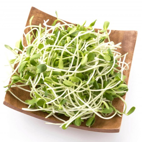 Nasiona na kiełki - Słonecznik - nasiona 40g