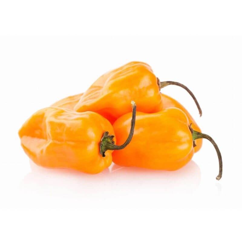 Papryka-Chili-HABANERO-ORANGE-2.jpg