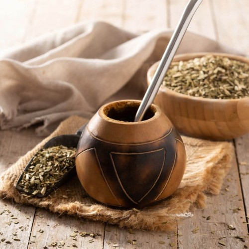 Yerba Mate Ostrokrzew Paragwajski sadzonka C2