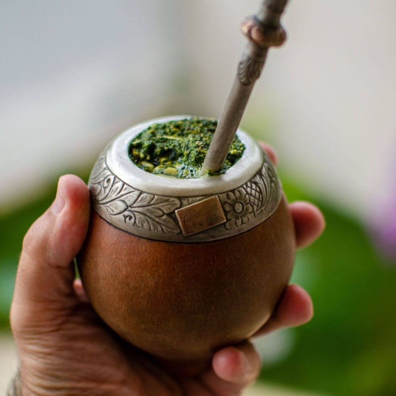 Czy ostrokrzew paragwajski ma kofeinę?