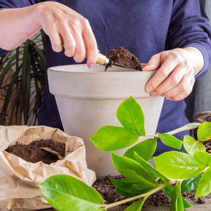 ziemia do roslin compo complete 5L