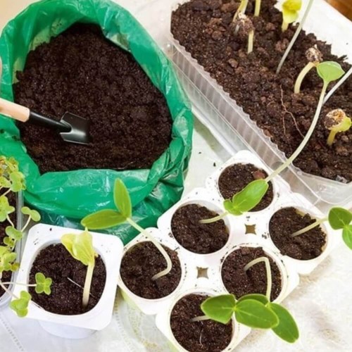 Starter do wysiewu i sadzenia - uniwersalny zestaw 4 produktów do rozsad Z17