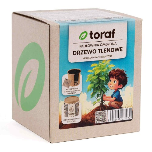 Paulownia Drzewo tlenowe - Zestaw do uprawy