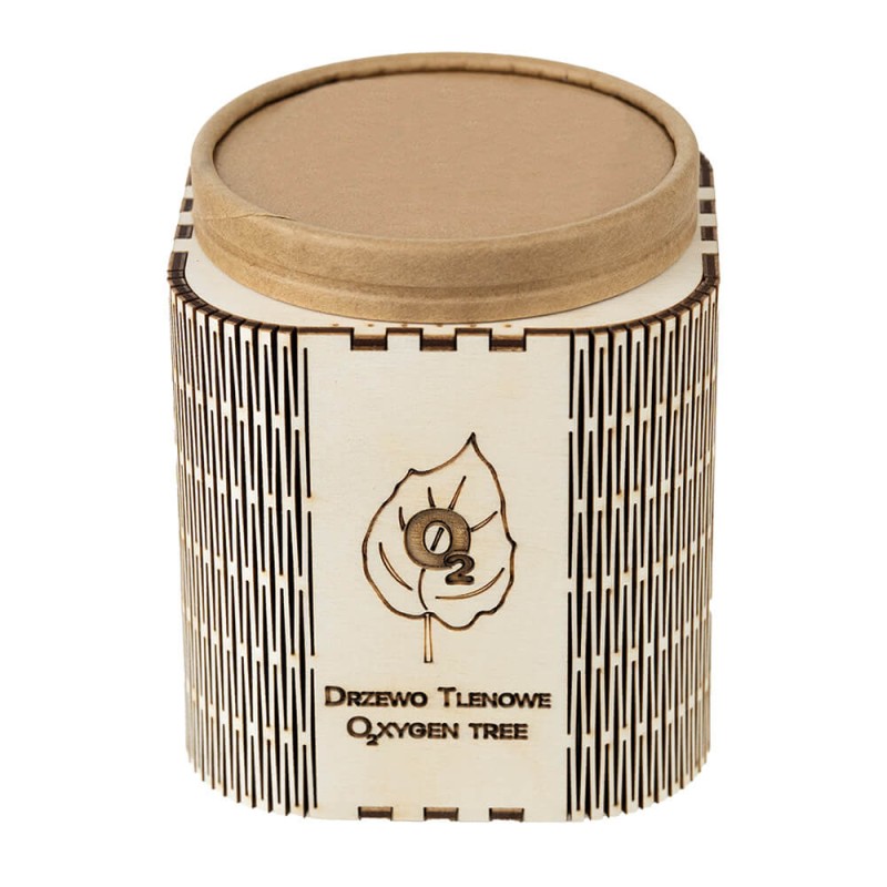 Drzewko tlenowe gotowy zestaw do uprawy