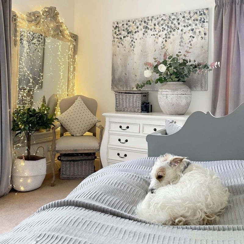 Laur Baby junior sadzonka na pniu C4 w sypialni