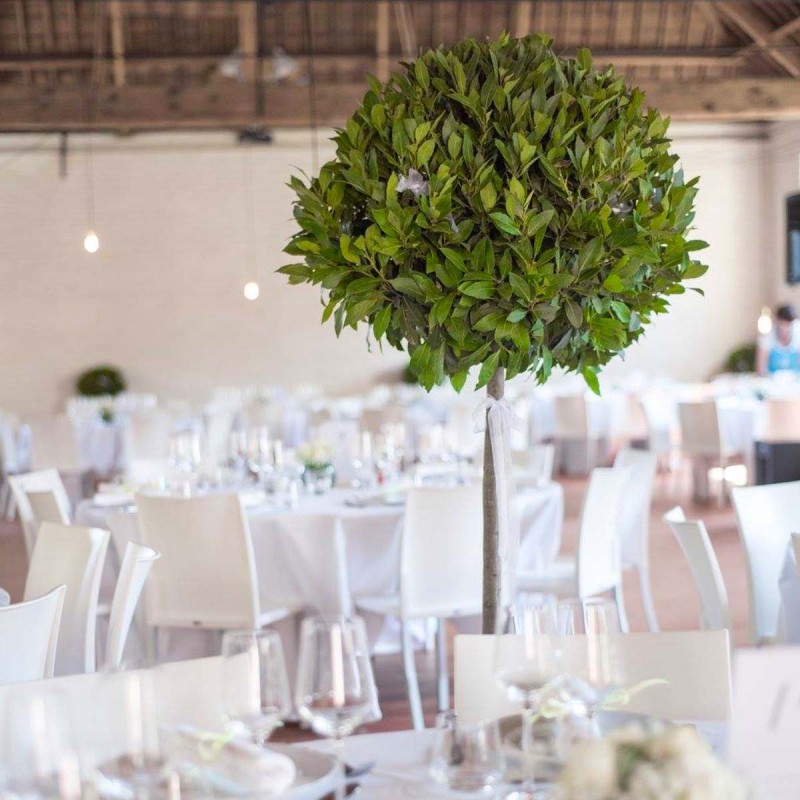 Laur na pniu baby junior dekoracja stołu na przyjęciu okazjonalnym