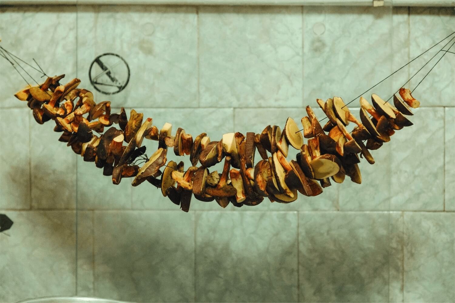 Suszenie grzybów na sznurku