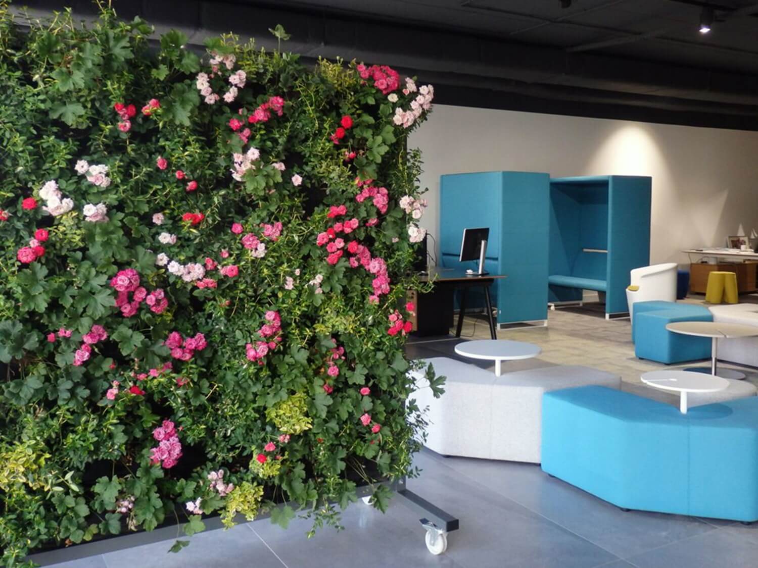 Zielona ściana z kwiatami w biurze