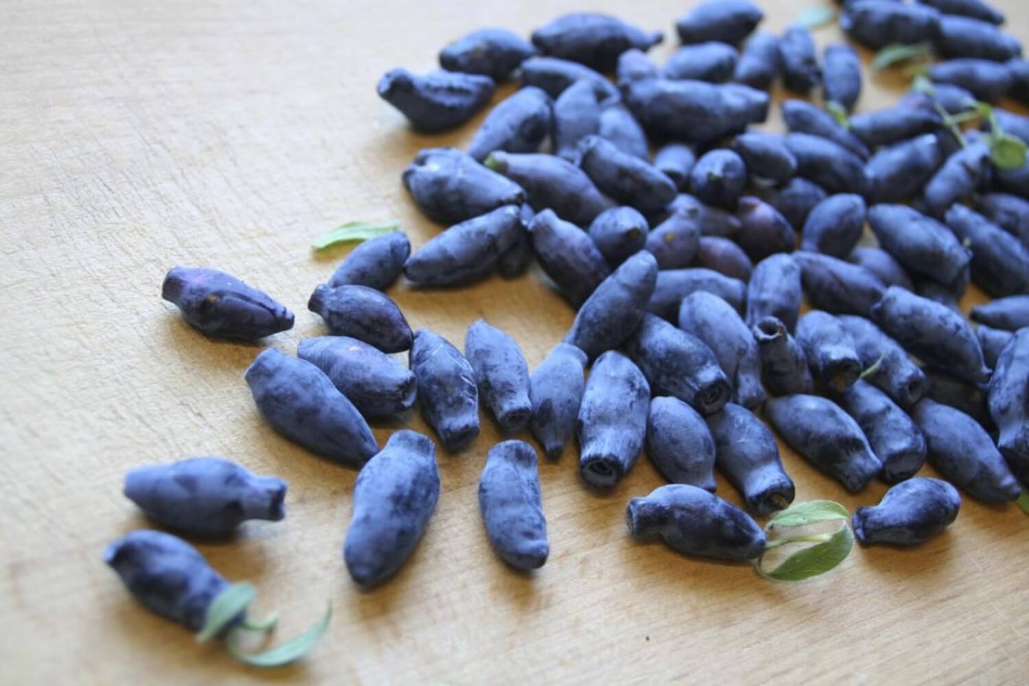 Owoce jagody kamczackiej pełne zdrowia