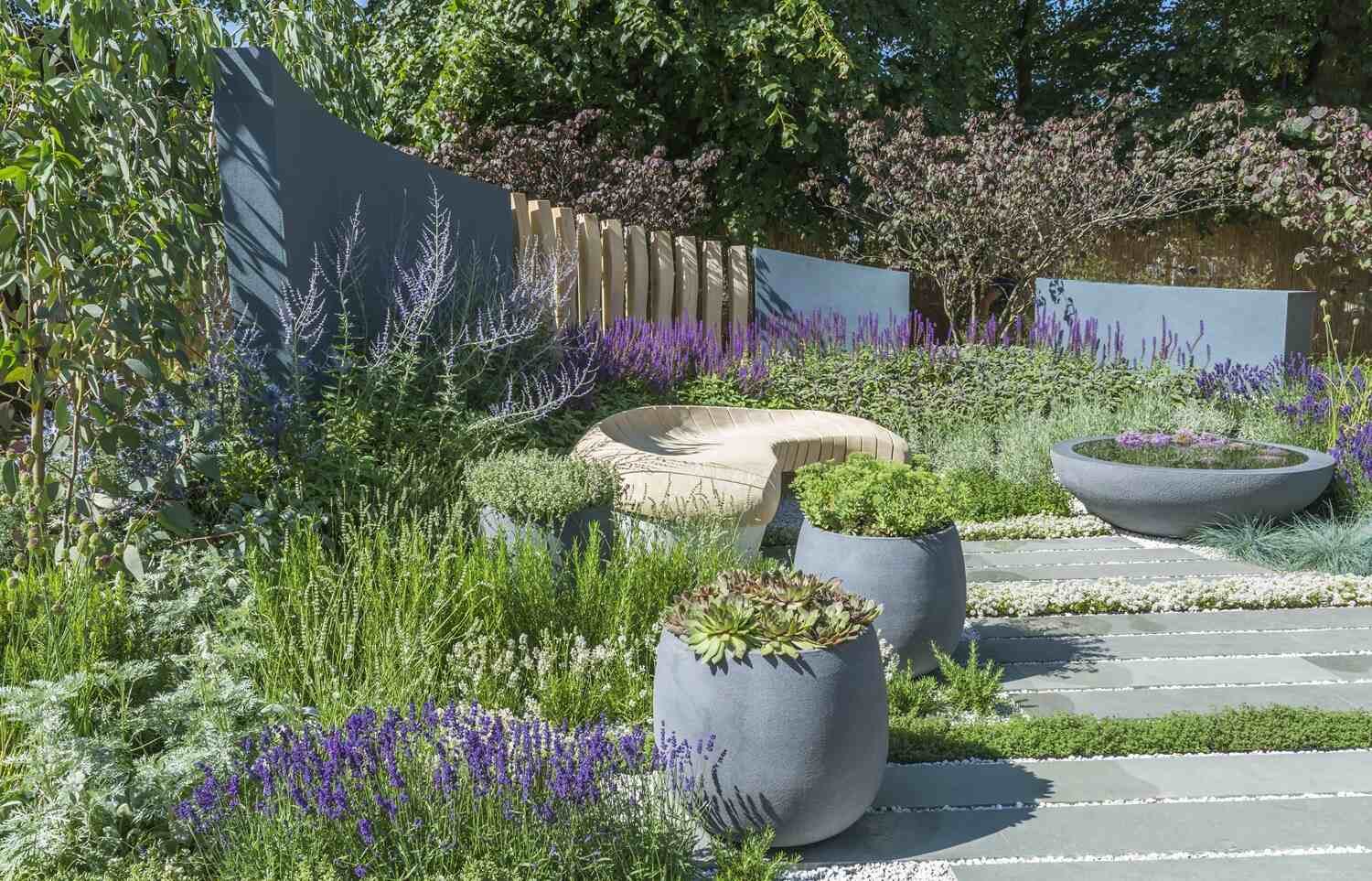 Rośliny na suche tereny