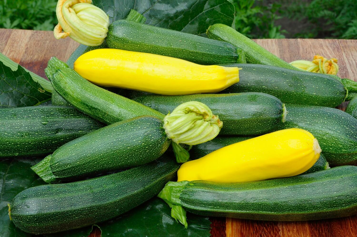Kolorowe cukinie odmiany