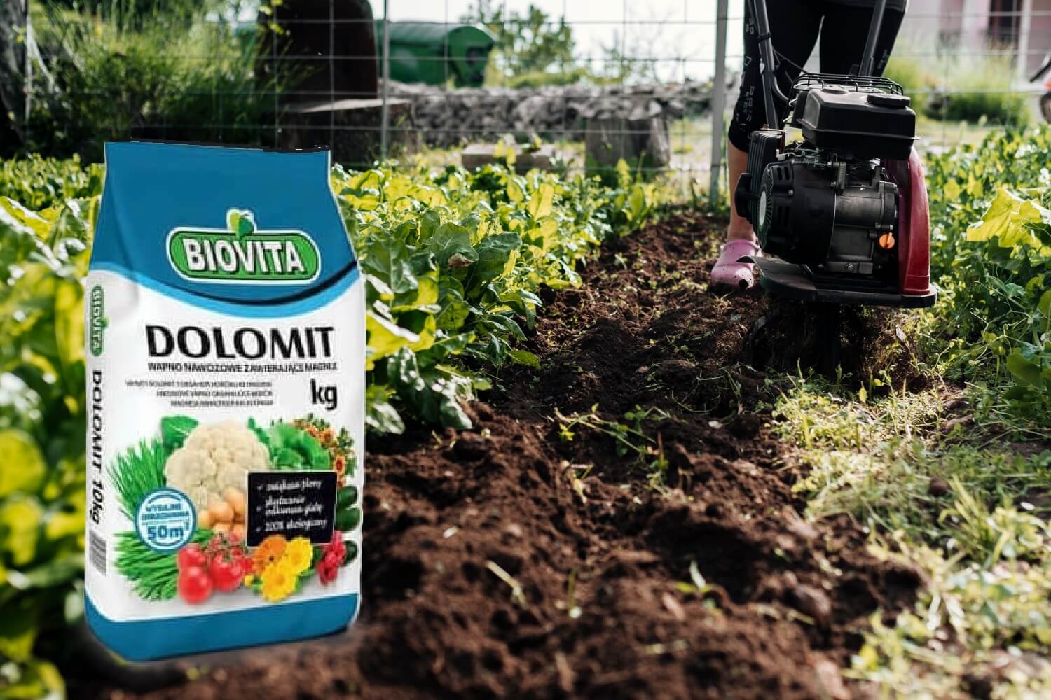 Jak stosować dolomit w ogrodzie ?