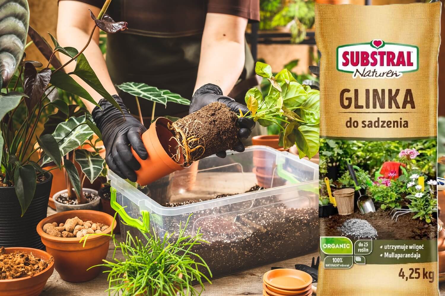 Glinka do sadzenia jak stosować ?