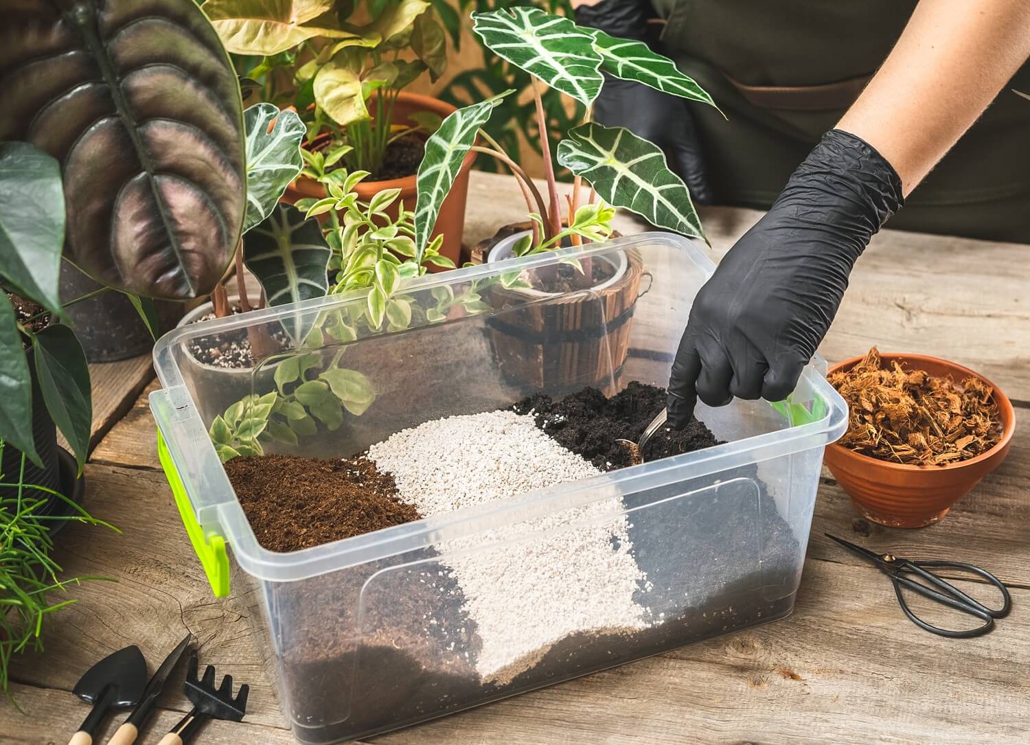 Podłoże do siewu jak zrobić ?