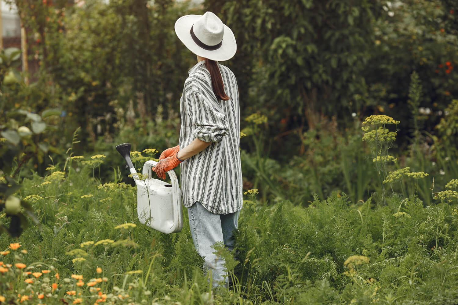 Permakultura w ogrodzie