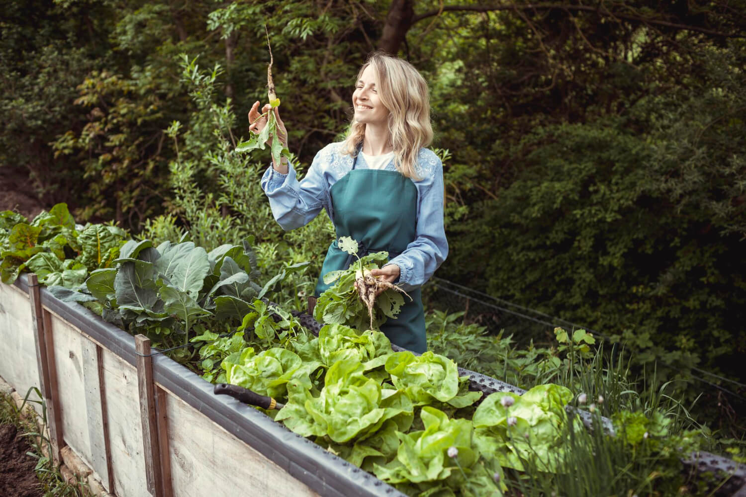 Ekologiczne warzywa z ogrodu