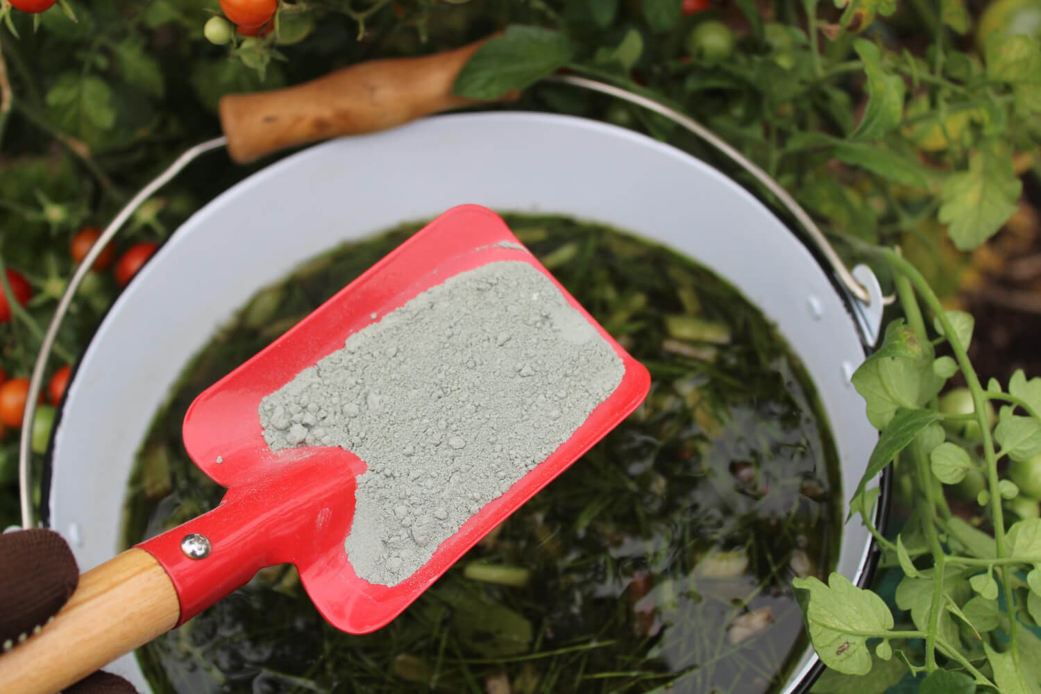 Ziemia okrzemkowa w ogrodzie