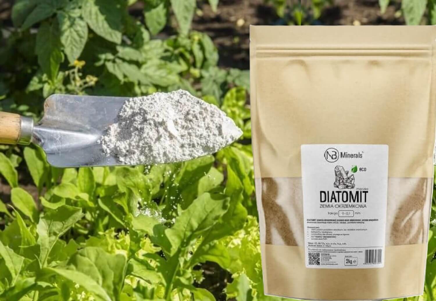 Ziemia okrzemkowa co to jest