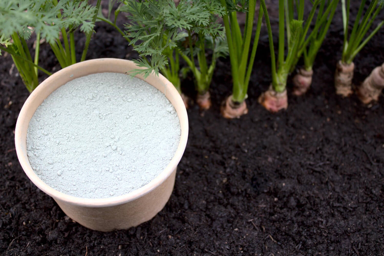 Nawóz ziemia okrzemkowa 