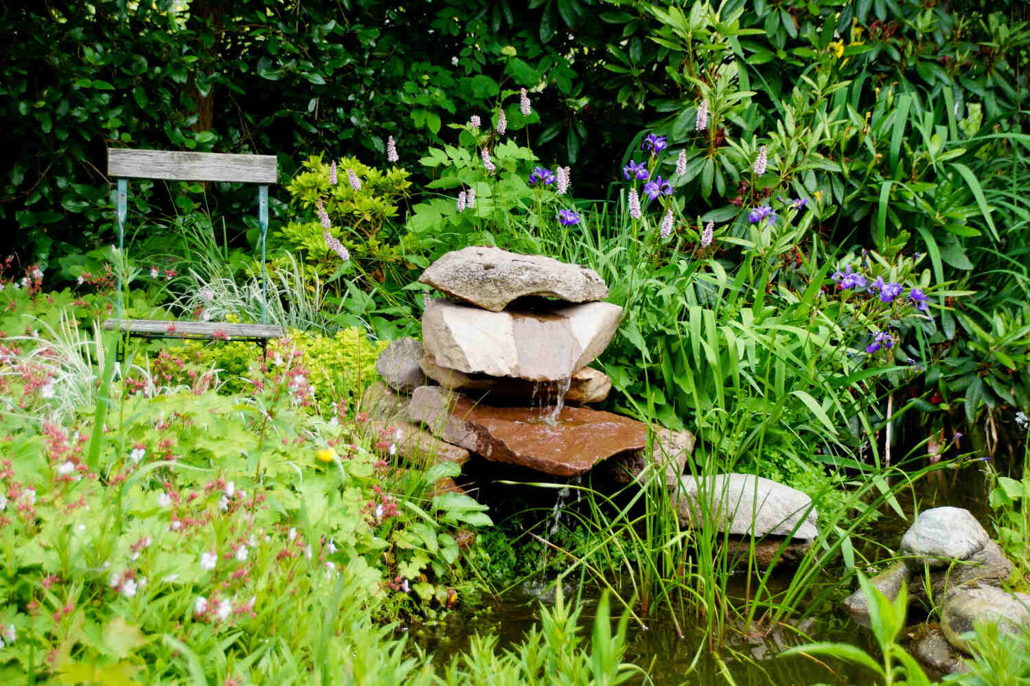 Oczko wodne w ogrodzie