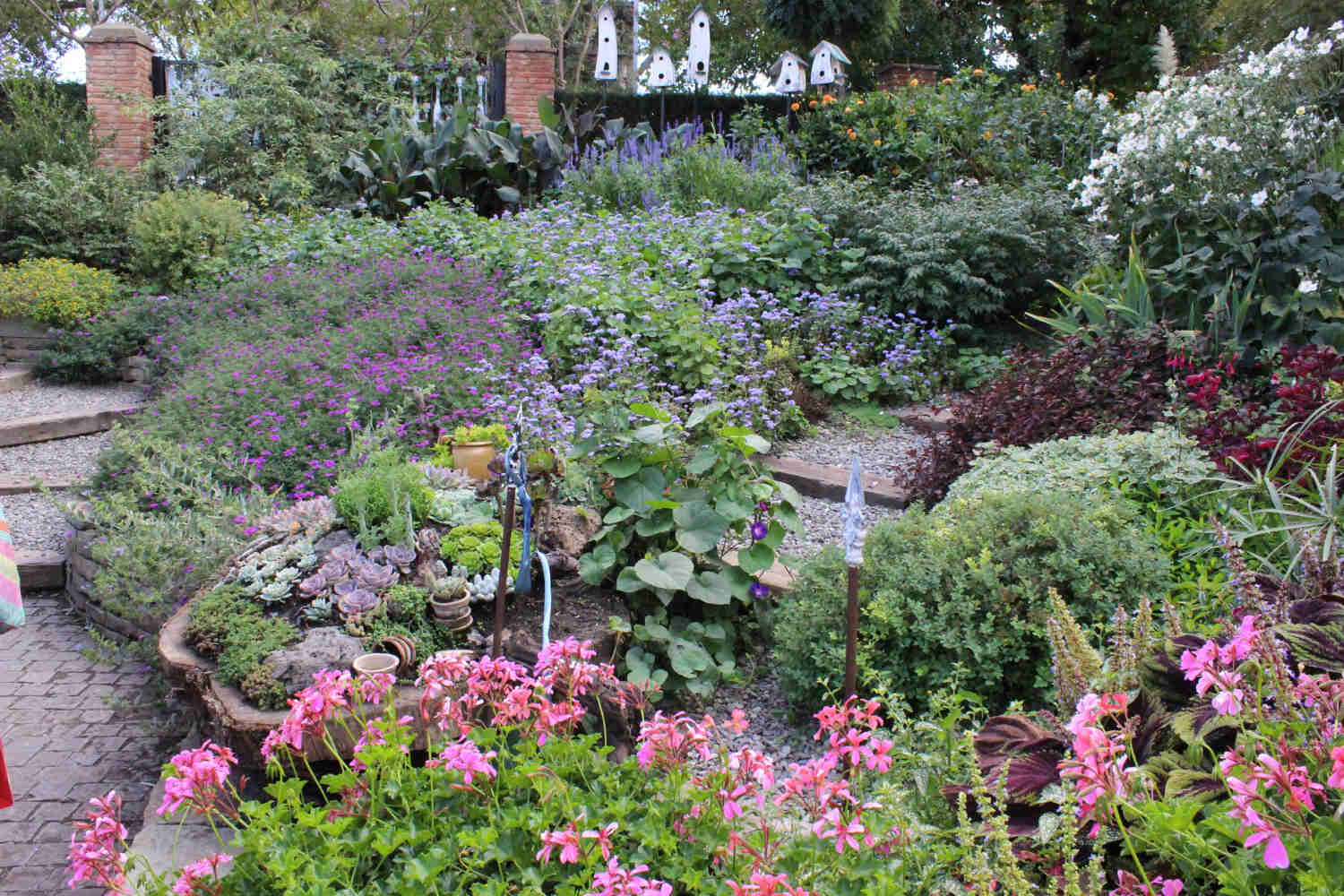 Różnorodny gród pełen kwiatów