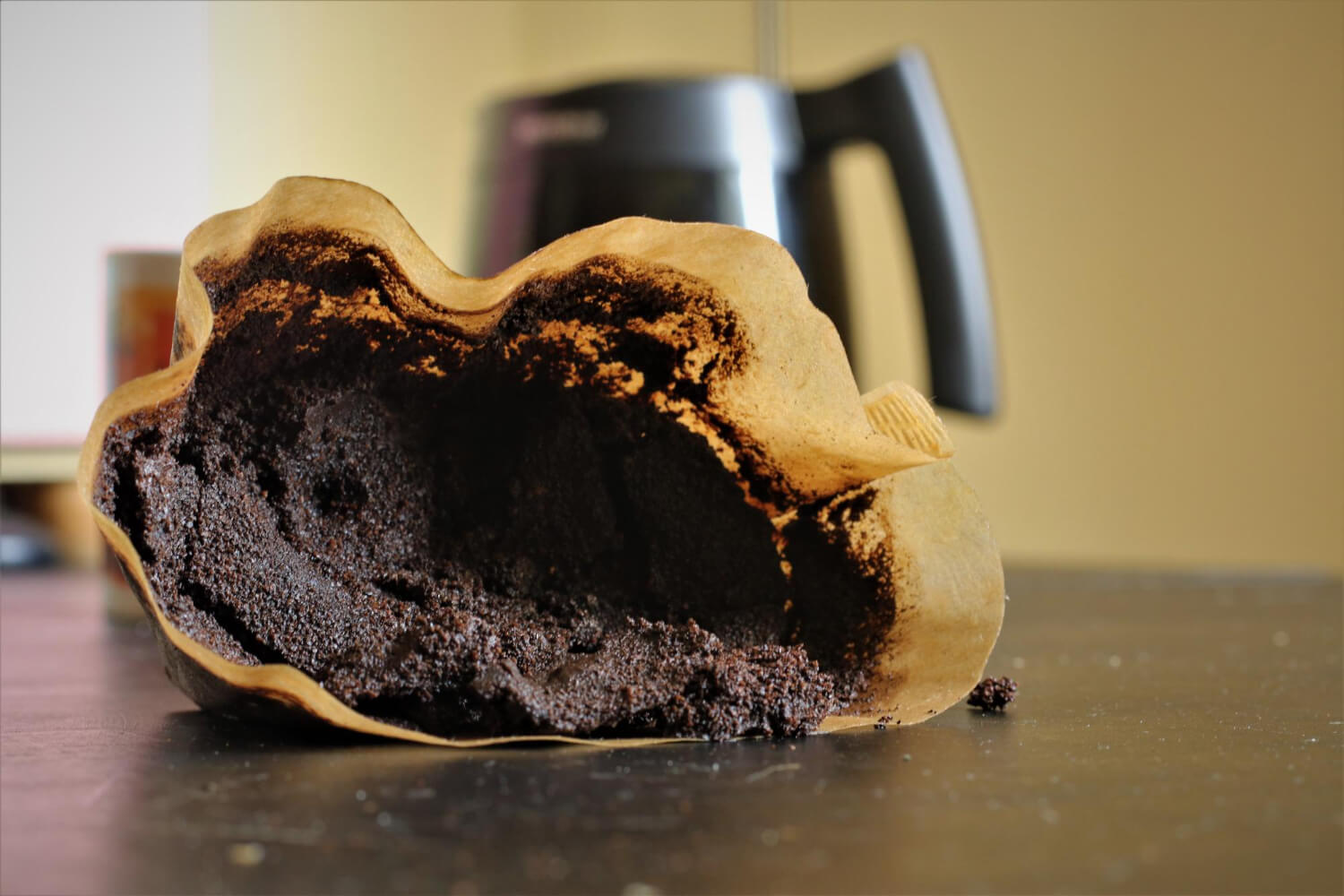 Fusy z kawy darmowy nawóz