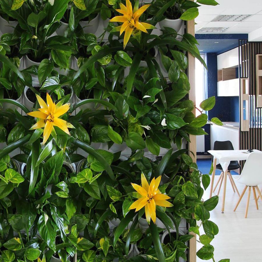 ogrod wertykalny w ogrodzie wiosna