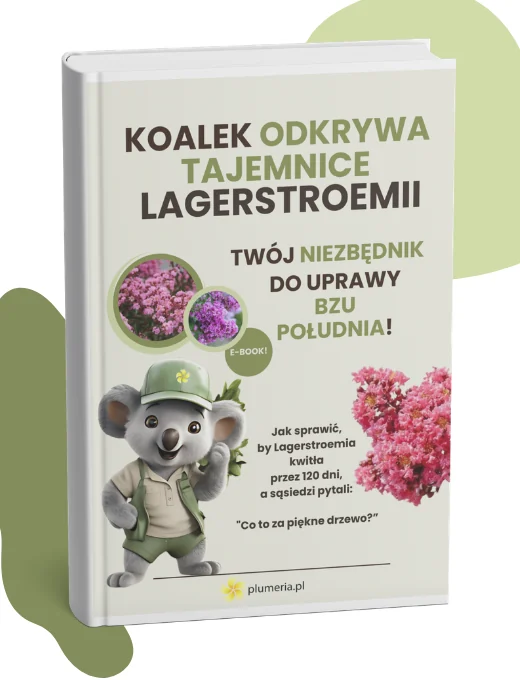 Ebook: Koalek odkrywa tajemnice lagerstroemii