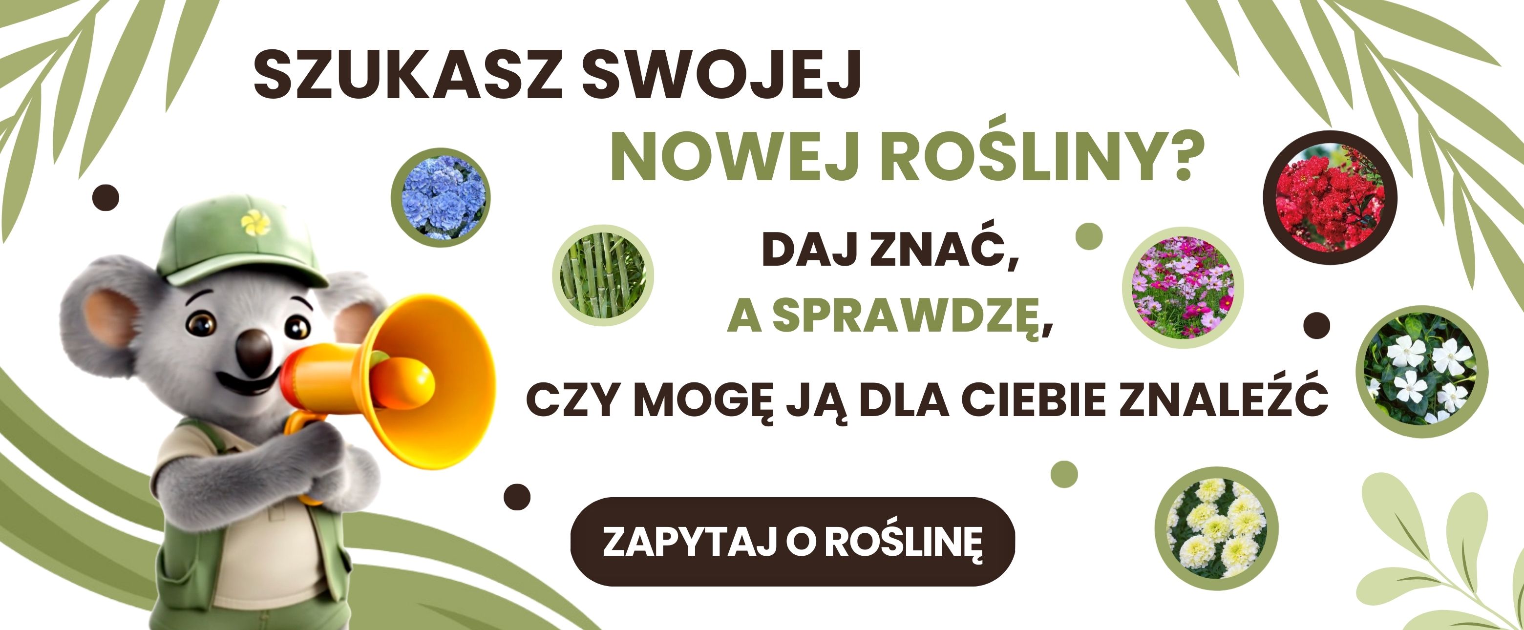 Zakupy detal Sklep ogrodniczy online • Sadzonki • Nasiona ☀️ Plumeria.pl