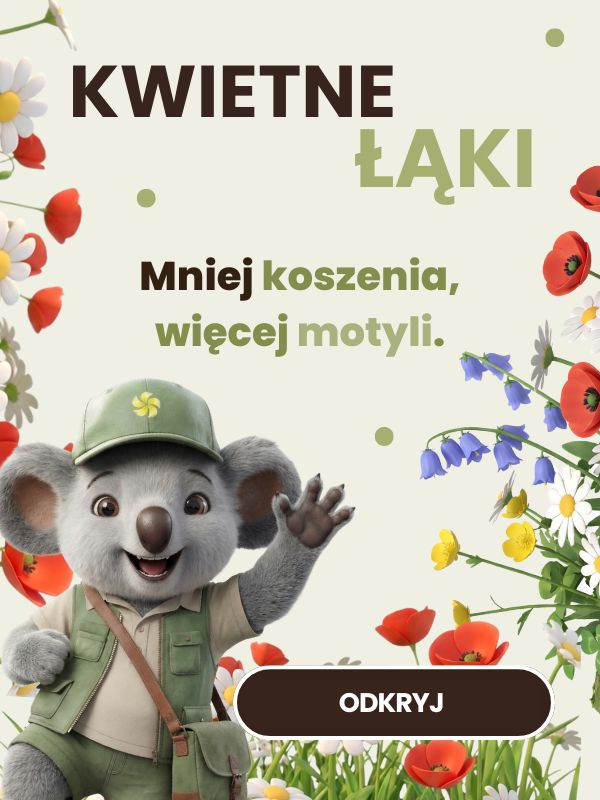 Kwietne łąki Sklep ogrodniczy online • Sadzonki • Nasiona ☀️ Plumeria.pl