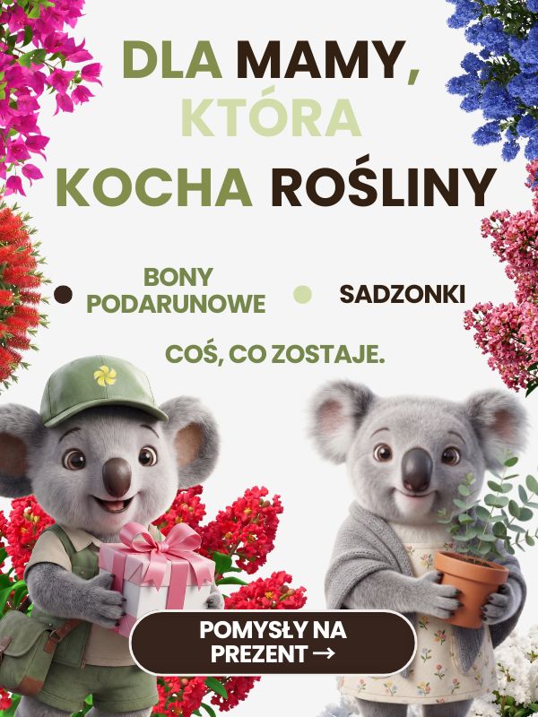 Dzień mamy Mobile Sklep ogrodniczy online • Sadzonki • Nasiona ☀️ Plumeria.pl