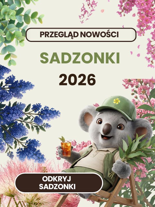 Powrót Sadzonki Sklep ogrodniczy online • Sadzonki • Nasiona ☀️ Plumeria.pl