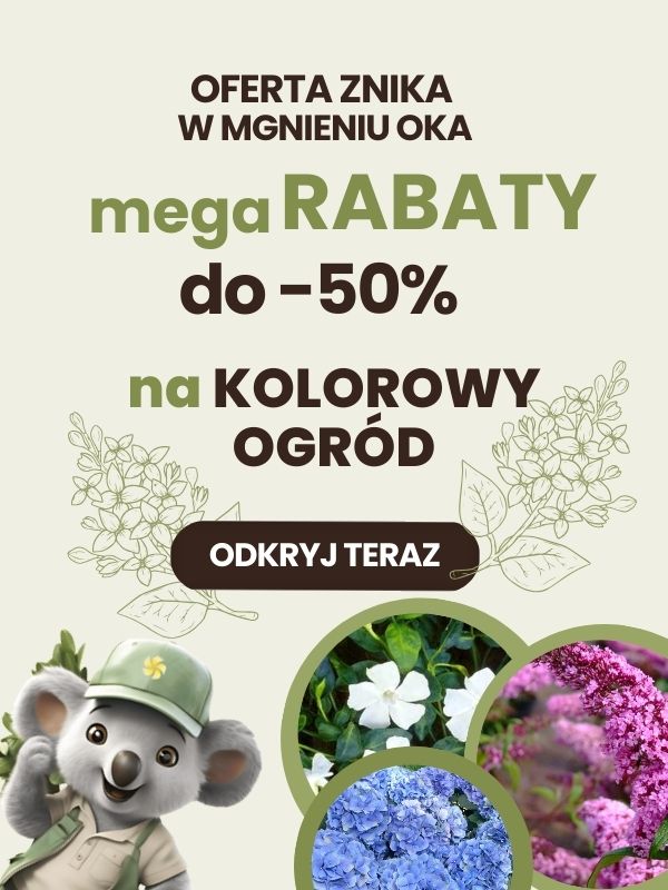 Kolorowy ogród Sklep ogrodniczy online • Sadzonki • Nasiona ☀️ Plumeria.pl