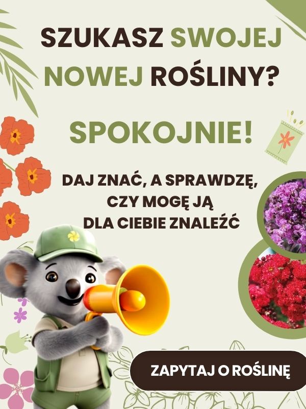 Zakupy detal Sklep ogrodniczy online • Sadzonki • Nasiona ☀️ Plumeria.pl
