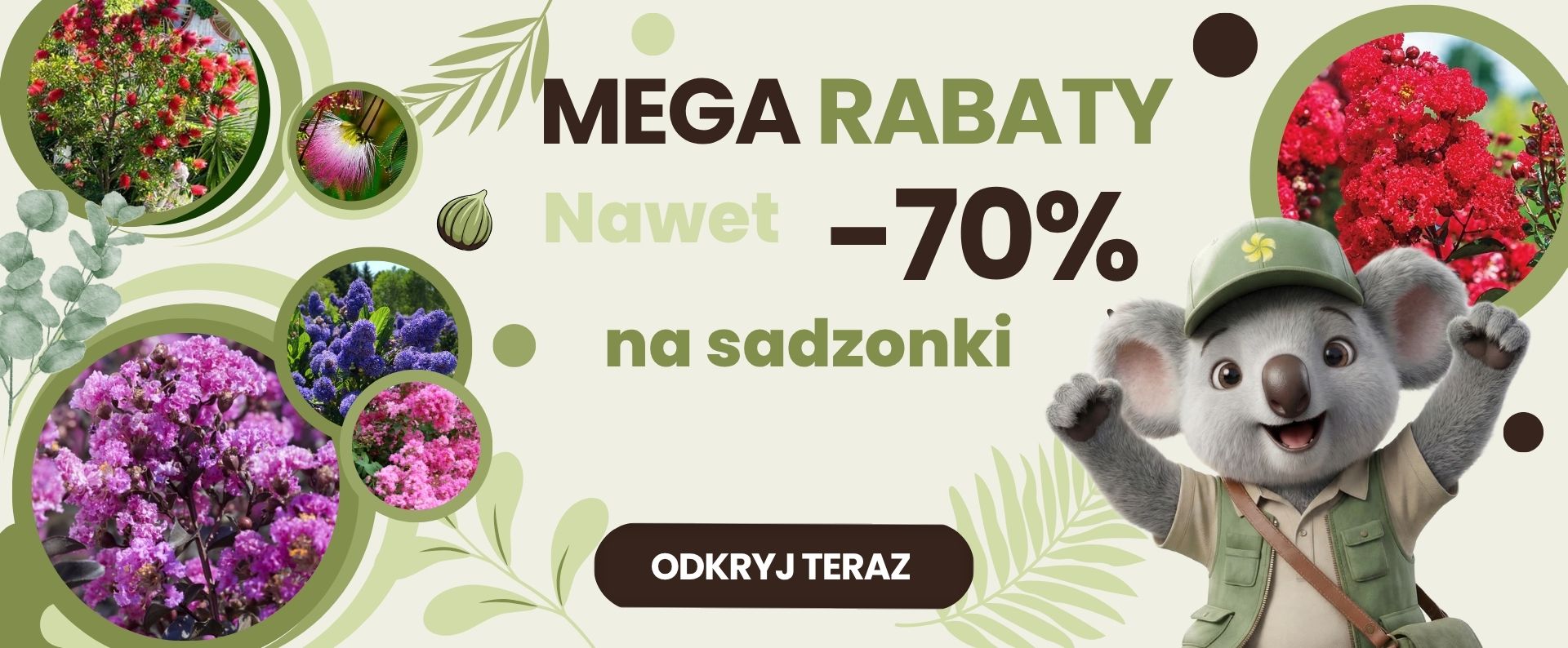 Mega rabaty -70% 2026 Sklep ogrodniczy online • Sadzonki • Nasiona ☀️ Plumeria.pl