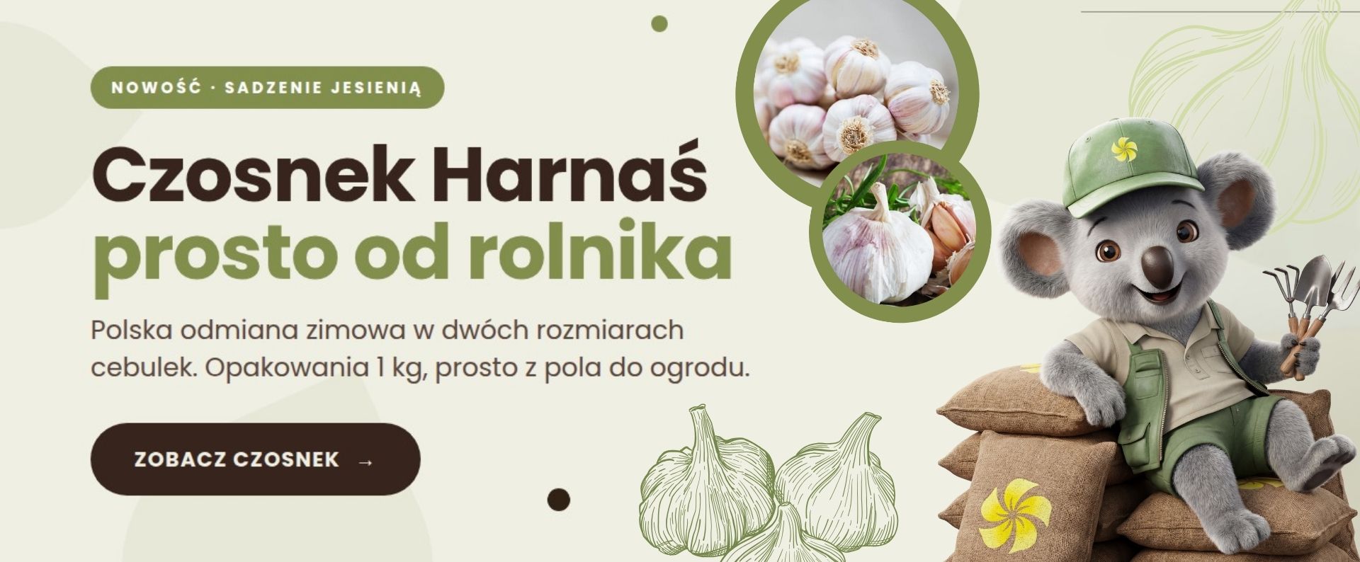 Czosnek Sklep ogrodniczy online • Sadzonki • Nasiona ☀️ Plumeria.pl