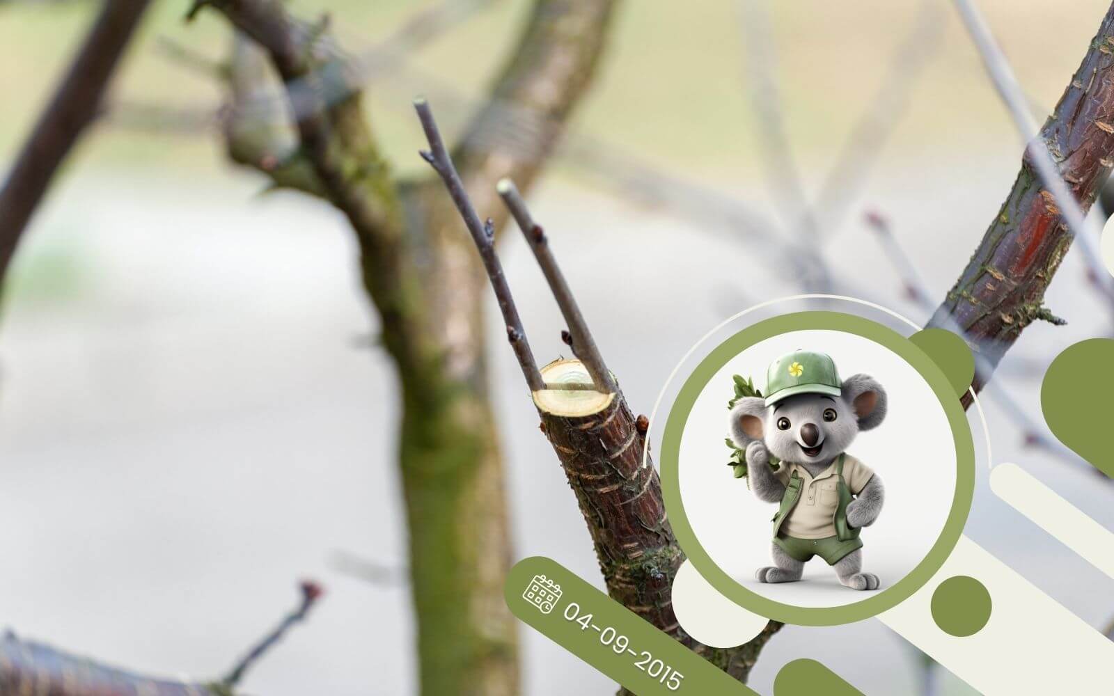 Rośliny szczepione - dlaczego warto je wybrać ?