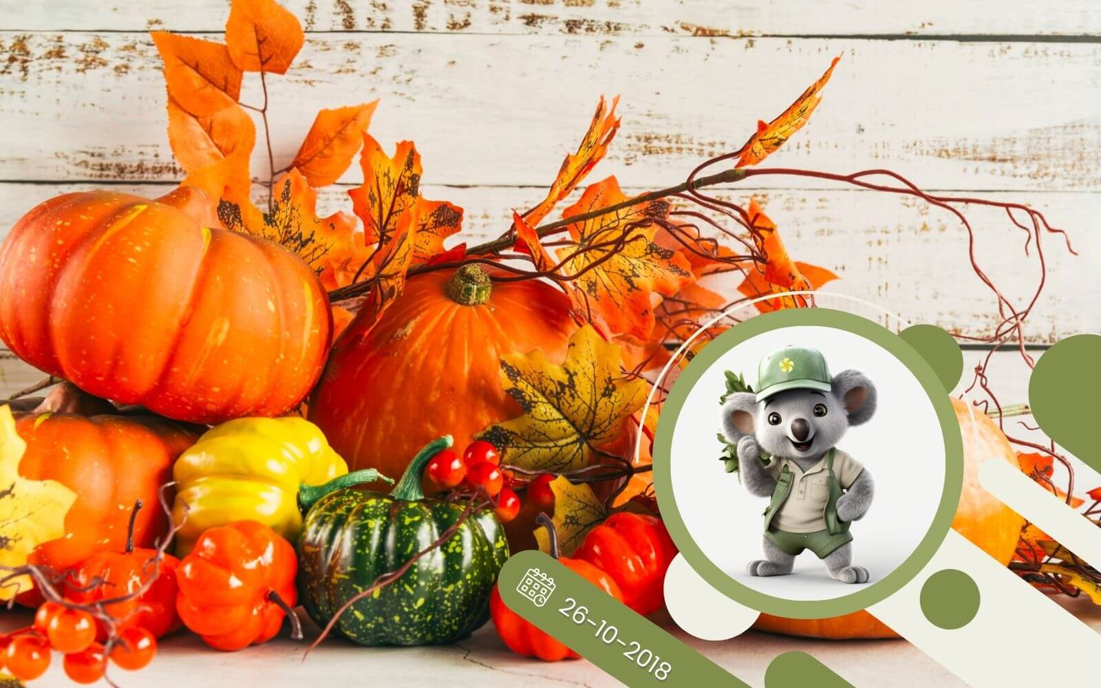 Dynia - jaka odmiana jest najlepsza?