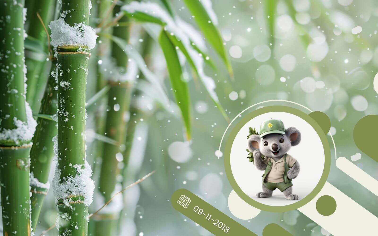 Jak przezimować rośliny egzotyczne ?