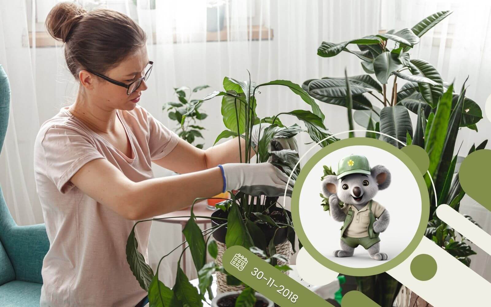 Jak dbać i uprawiać rośliny ozdobne w domu?