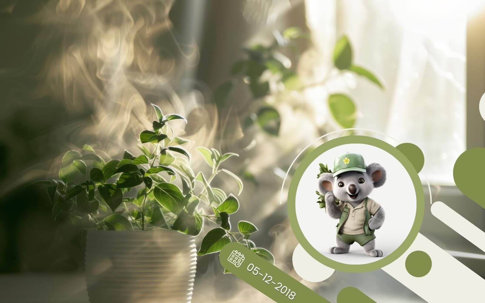 Rośliny na smog - czyli jak oczyścić powietrze w mieszkaniu?