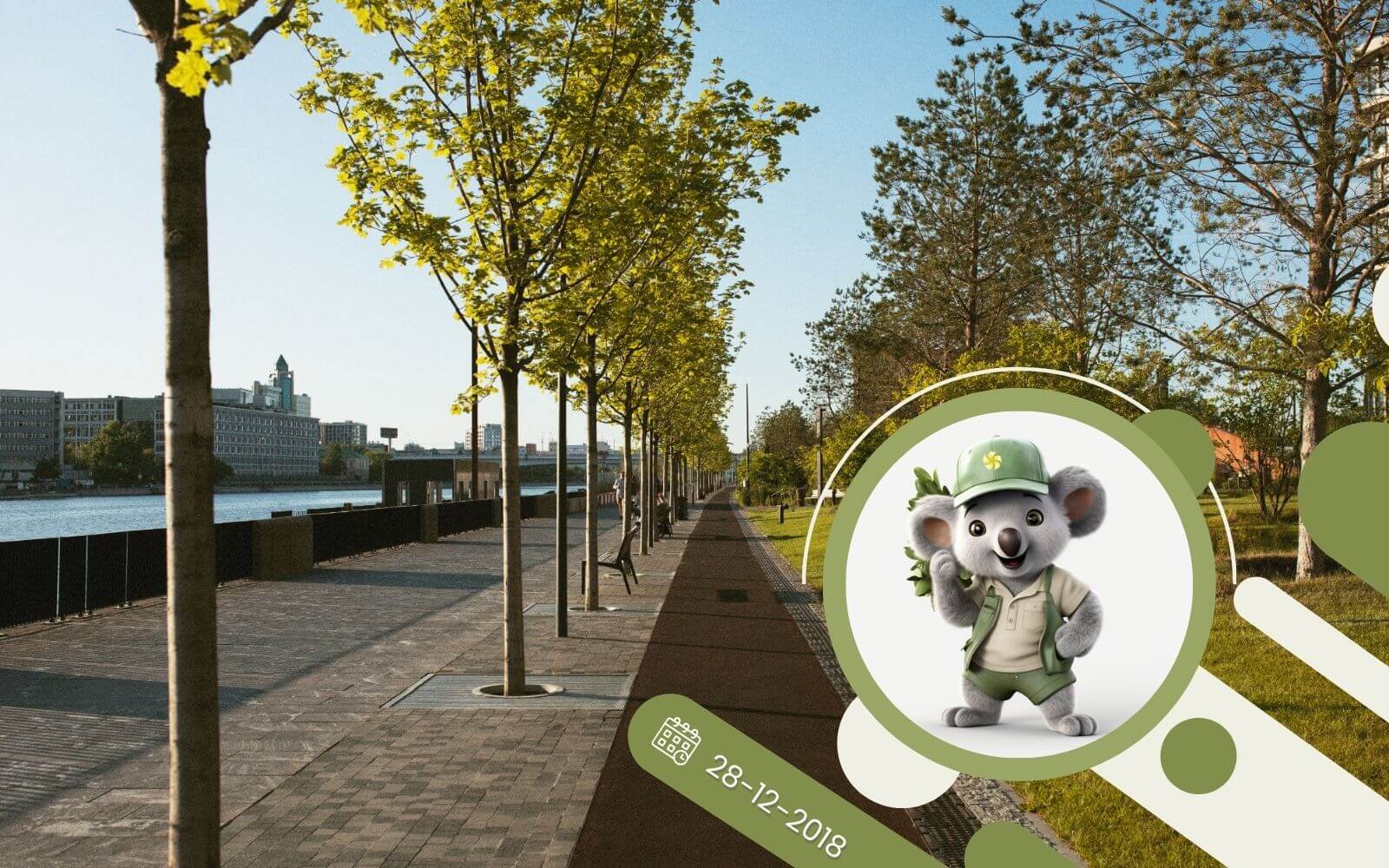 TOP 10 roślin do miasta!