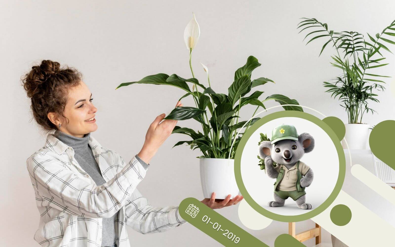 5 najlepszych roślin do domu!