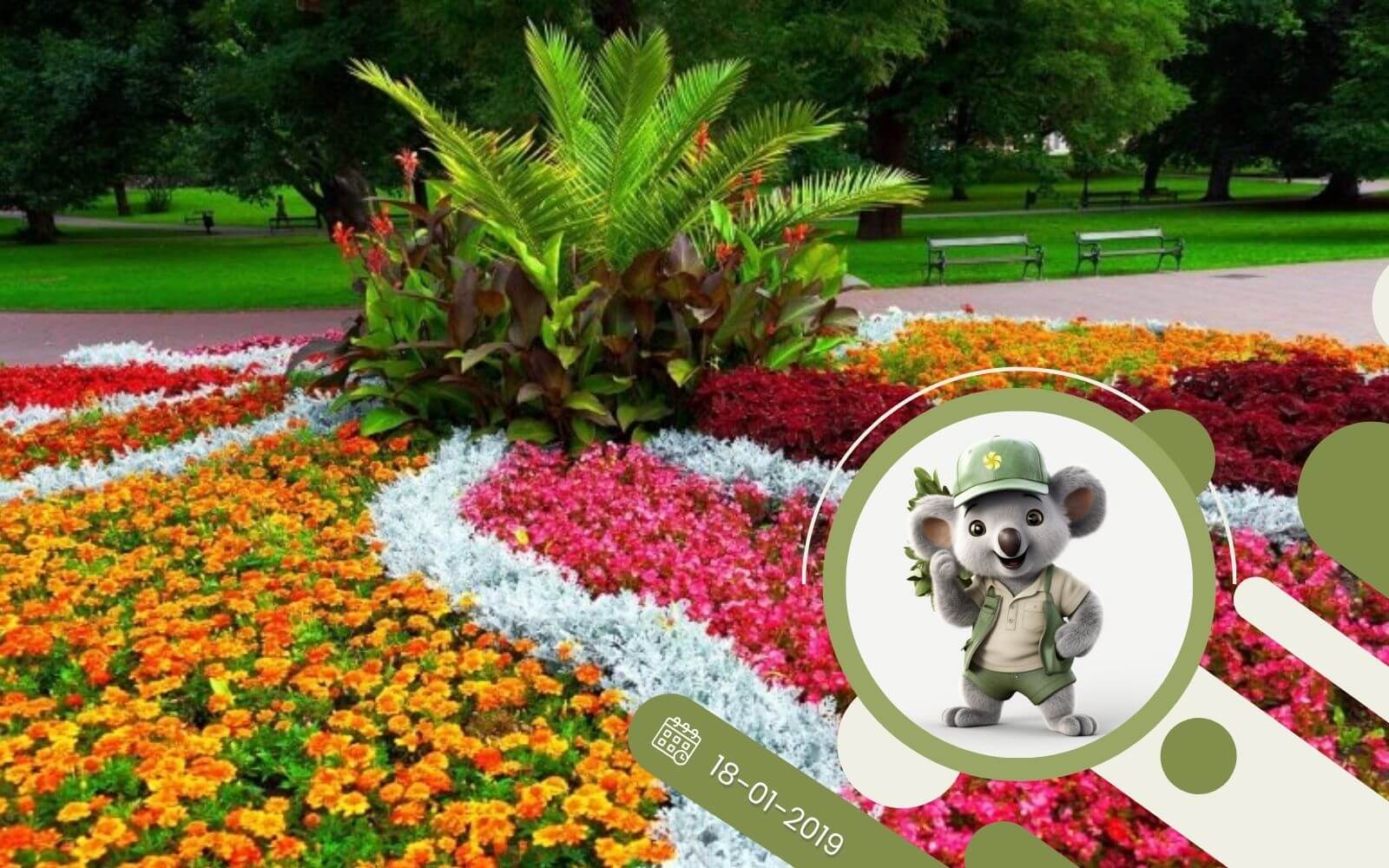 10 najlepszych roślin na klomby !