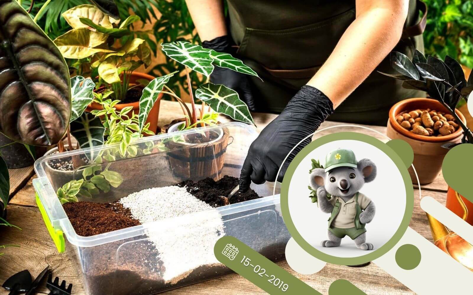 Perlit w jaki sposób wykorzystać go w uprawie roślin?